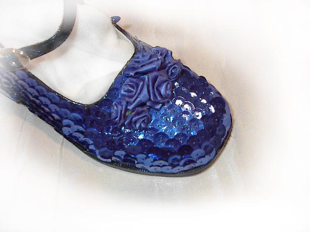 bluerosesequinphoto.jpg