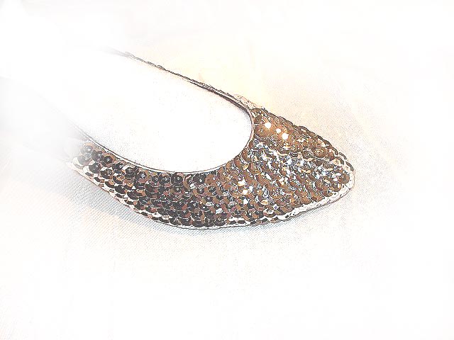 silversequinphoto.jpg