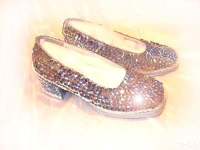 youthsilversequinphoto.jpg